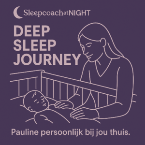 Deep Sleep Journey - 1 nacht slaapcoaching