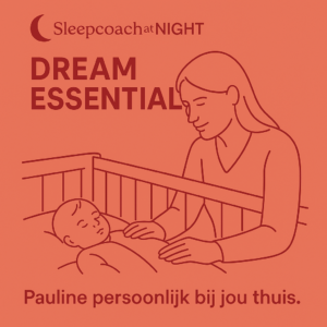 Dream essentials - Live consult en 4 uur live coaching